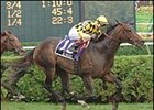 Ballston Spa BC 'Cap winner Alinghi goes in Keeneland's Shadwell.