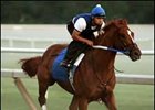 Seven Possible for $1-Million Haskell Invitational Seven Possible for $1-Million Haskell Invitational