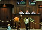 Take a Picture, colt; Mizzen Mast - Copper Rose by Unbridled, brought $240,000 during the second session of the Ocala Breeders Sales Co. spring sale of 2-year-olds in training.