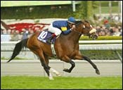 Subbing Solis Gets Redattore Home in Kilroe Subbing Solis Gets Redattore Home in Kilroe