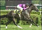 Baptize carried Jerry Bailey to victory in the National Museum of Racing Hall of Fame.