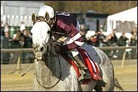 Tapit to Miss Scheduled 3-Year-Old Debut in Risen Star Stakes Tapit to Miss Scheduled 3-Year-Old Debut in Risen Star Stakes