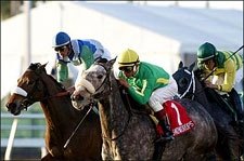 Snowdrops' Late Drive Wins Suwannee River Snowdrops' Late Drive Wins Suwannee River