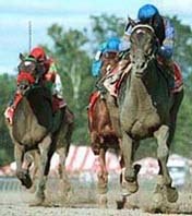 Dream Supreme Upsets Elders in Ballerina Dream Supreme Upsets Elders in Ballerina