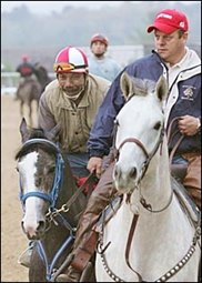 'Rocky 50-50 for Arkansas Derby; Lexington Stakes More Likely 'Rocky 50-50 for Arkansas Derby; Lexington Stakes More Likely