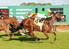 Ballymore Lady won the grade III Endeavor Stakes in February.
