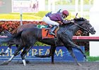 Dialed In's Next Call: Kentucky Derby Dialed In's Next Call: Kentucky Derby