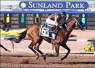 Song of Navarone Whistles Home in WinStar Derby Song of Navarone Whistles Home in WinStar Derby