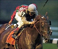 Funny Cide Breezes; Next Start Undetermined Funny Cide Breezes; Next Start Undetermined