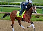 Danzig Moon at Churchill Downs April 26.
<br><a target="blank" href="http://photos.bloodhorse.com/TripleCrown/2015-Triple-Crown/Kentucky-Derby-Workouts/i-shTbXZN">Order This Photo</a>
