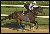 You Retired; Going to Keeneland January Sale You Retired; Going to Keeneland January Sale