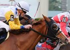 Lady Shakespeare finished second dead-heat) in the Marshua's River Stakes, her most recent start.