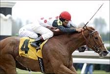 Diana Stakes Looks M-M-M-M-M Good Diana Stakes Looks M-M-M-M-M Good