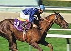 Arcangues, BC Classic Winner, Dead Arcangues, BC Classic Winner, Dead