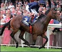 Storm Cat Colt Rallies to Victory at Royal Ascot Storm Cat Colt Rallies to Victory at Royal Ascot