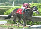 Big Drama cruises in the In Reality Stakes.