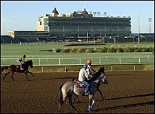 For Breeders' Cup, Yet Another Host Site Test For Breeders' Cup, Yet Another Host Site Test