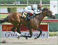 Birdstone Declared Out of Blue Grass Birdstone Declared Out of Blue Grass