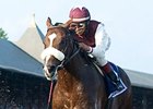 Past the Point makes his first start at Aqueduct in the Bold Ruler Handicap.