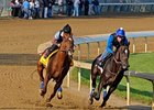 Animal Kingdom Has Good First Work on Dirt Animal Kingdom Has Good First Work on Dirt