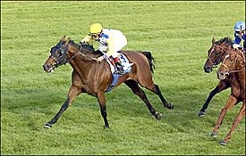 Perfect Soul Earns Breeders' Cup Trip in Shadwell Mile Perfect Soul Earns Breeders' Cup Trip in Shadwell Mile