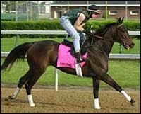Trainer Of Oaks Favorite Now Happy With Churchill Racing Surface Trainer Of Oaks Favorite Now Happy With Churchill Racing Surface