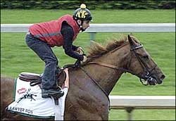 Working Out: Busy Morning at Churchill Downs Working Out: Busy Morning at Churchill Downs