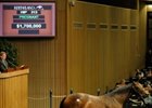 Summer Raven Soars to $1.7 Million Summer Raven Soars to $1.7 Million