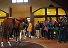 Smarty Jones Fans Bid Farewell Smarty Jones Fans Bid Farewell