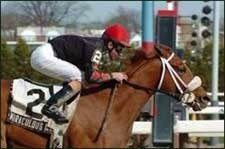 Miraculous Miss Wins Perfectly Timed Comely Miraculous Miss Wins Perfectly Timed Comely
