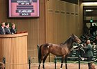 Ave Sells for $1.4 Million at Keeneland Ave Sells for $1.4 Million at Keeneland