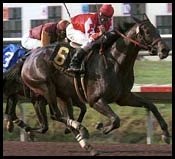 Grade I Winner Cindy's Hero Retired; Booked to Deputy Minister Grade I Winner Cindy's Hero Retired; Booked to Deputy Minister
