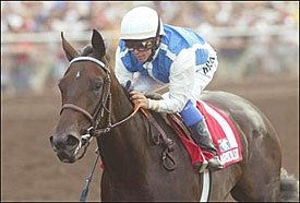 Champion Halfbridled Retired Champion Halfbridled Retired