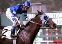 Turf Star Happyanunoit Retired; Breeding Plans Undetermined Turf Star Happyanunoit Retired; Breeding Plans Undetermined