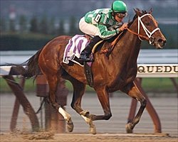 Randaroo Confident Winner of Top Flight Randaroo Confident Winner of Top Flight