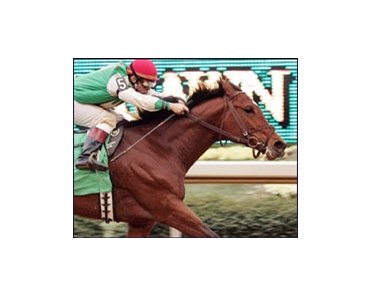Mountain Valley winner Afleet Alex goes for two-in-a-row in Saturday's Rebel Stakes.