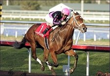 Bad Start No Problem for Madcap Escapade Bad Start No Problem for Madcap Escapade