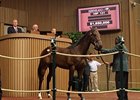 Keeneland September Sale Select Session Wrap Keeneland September Sale Select Session Wrap