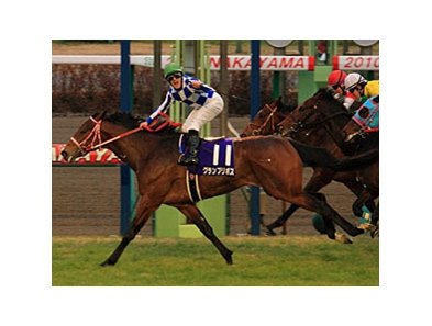 Grand Prix Boss in the Asahi Hai Futurity Stakes.