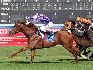 Australian Champ Sebring Out with Injury Australian Champ Sebring Out with Injury