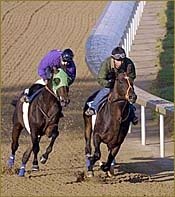 Empire Maker Entered in Monday's Jersey Derby Empire Maker Entered in Monday's Jersey Derby