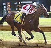Grade I Winner Plenty of Light Retired Grade I Winner Plenty of Light Retired