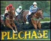 Quel Senor, 10 Others Vie in Colonial Cup Quel Senor, 10 Others Vie in Colonial Cup
