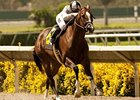 Tanda wins the Rancho Bernardo Handicap
<br><a target="blank" href="http://www.bloodhorse.com/horse-racing/photo-store?ref=http%3A%2F%2Fpictopia.com%2Fperl%2Fgal%3Fprovider_id%3D368%26ptp_photo_id%3D9642049%26ref%3Dstory">Order This Photo</a>