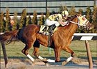 Shake You Down Returns in Sunshine Millions (See Post Positions Here) Shake You Down Returns in Sunshine Millions (See Post Positions Here)
