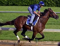 China Visit Ends Layoff With Nad Al Sheba Victory China Visit Ends Layoff With Nad Al Sheba Victory