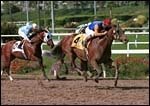 Hollywood Park Report: Queen of the West Hollywood Park Report: Queen of the West