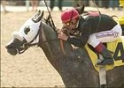Sailors Sunset and jockey Jon Court win the Los Angeles Handicap, Saturday at Hollywood Park.<br><a target="blank" href="http://www.bloodhorse.com/horse-racing/photo-store?ref=http%3A%2F%2Fpictopia.com%2Fperl%2Fgal%3Fprovider_id%3D368%26ptp_photo_id%3D1180207%26ref%3Dstory">Order This Photo</a>