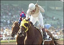 On to Breeders' Cup for Got Koko, Halfbridled On to Breeders' Cup for Got Koko, Halfbridled