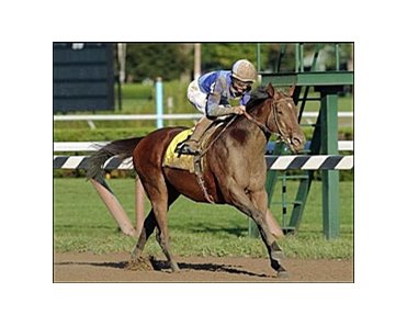 Aldebaran captures the Forego Stakes, Sunday at Saratoga.